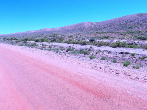 GDMBR, 23 June 2013, between Sage Creek and Teton Reservoir, WY, 7000'/2100m.